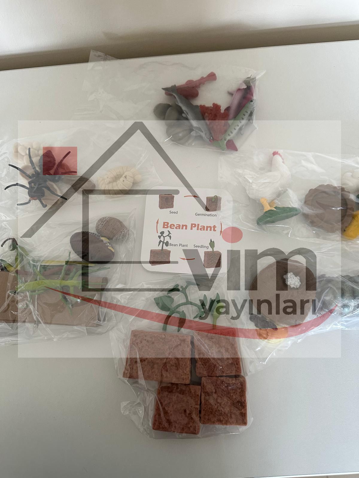 Yaşam Döngüsü Paketi