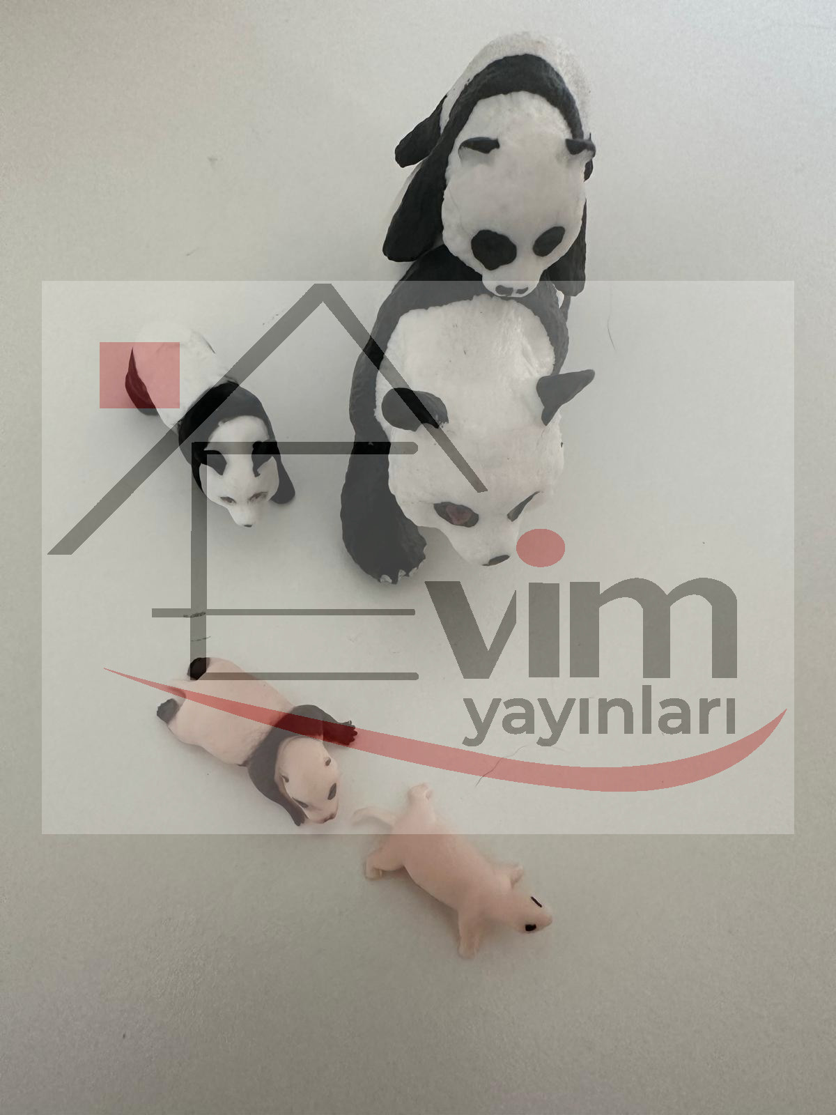 Panda Yaşam Döngüsü