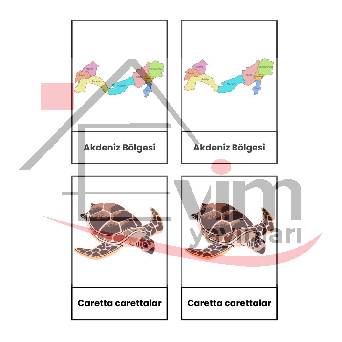 Akdeni̇z Bölgesi̇ni̇ Tanıyoruz