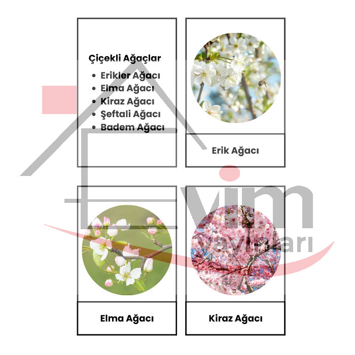 Çiçekli ve Çiçeksiz Ağaçlar